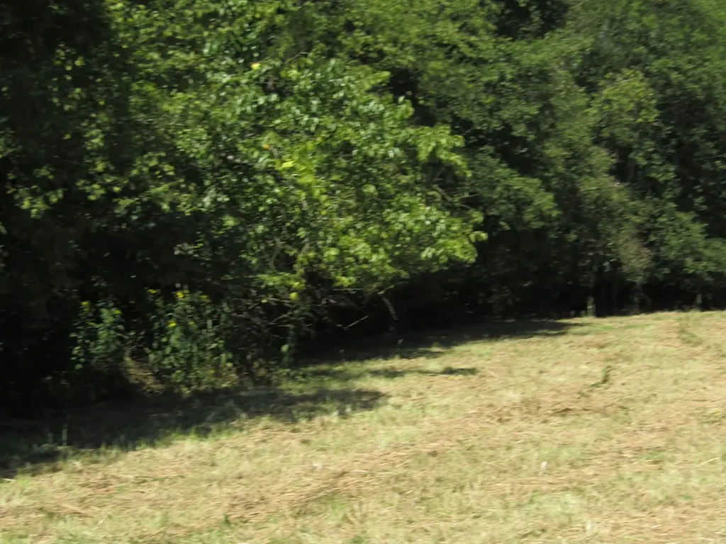 14AC Hartsville Road Lafayette TN 37083