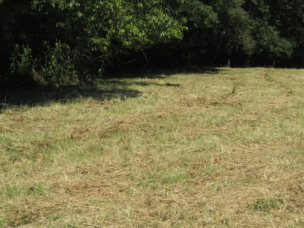 14AC Hartsville Road Lafayette TN 37083