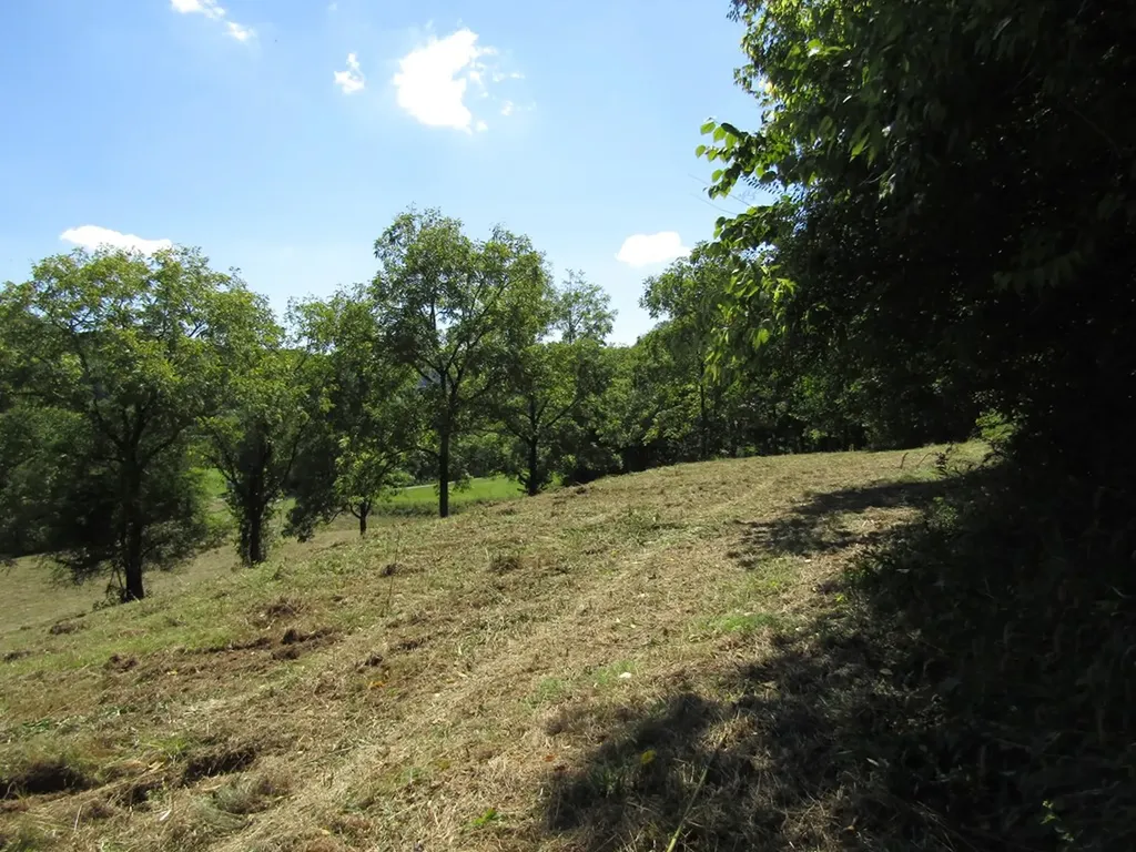14AC Hartsville Road Lafayette TN 37083