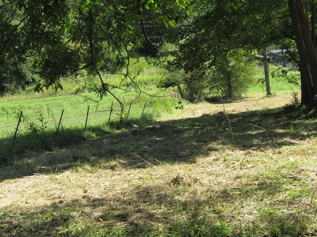 14AC Hartsville Road Lafayette TN 37083