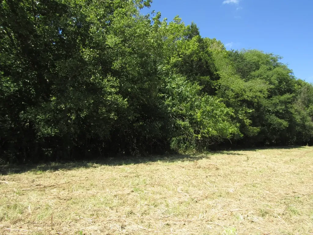 14AC Hartsville Road Lafayette TN 37083