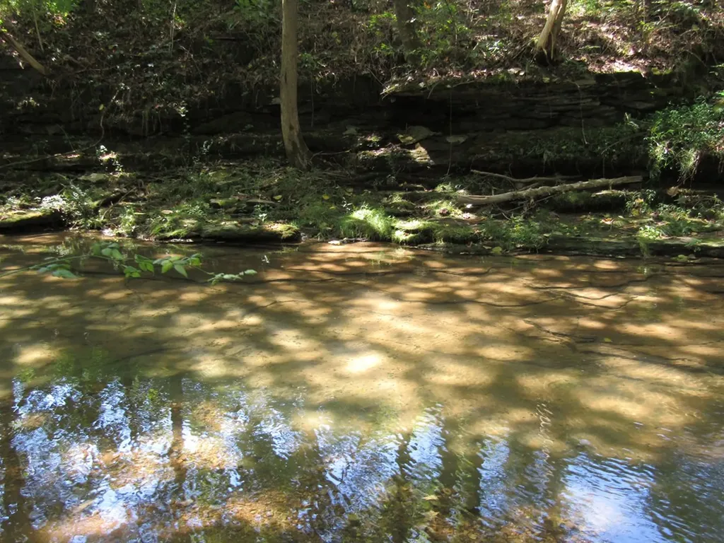 14AC Hartsville Road Lafayette TN 37083