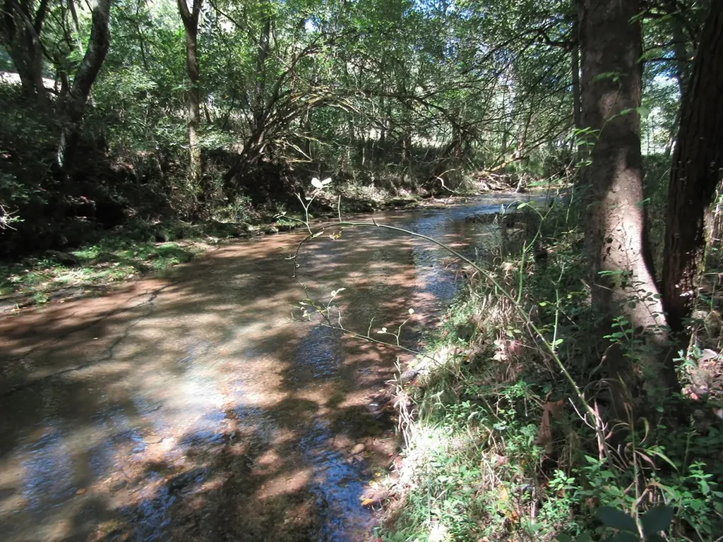 14AC Hartsville Road Lafayette TN 37083