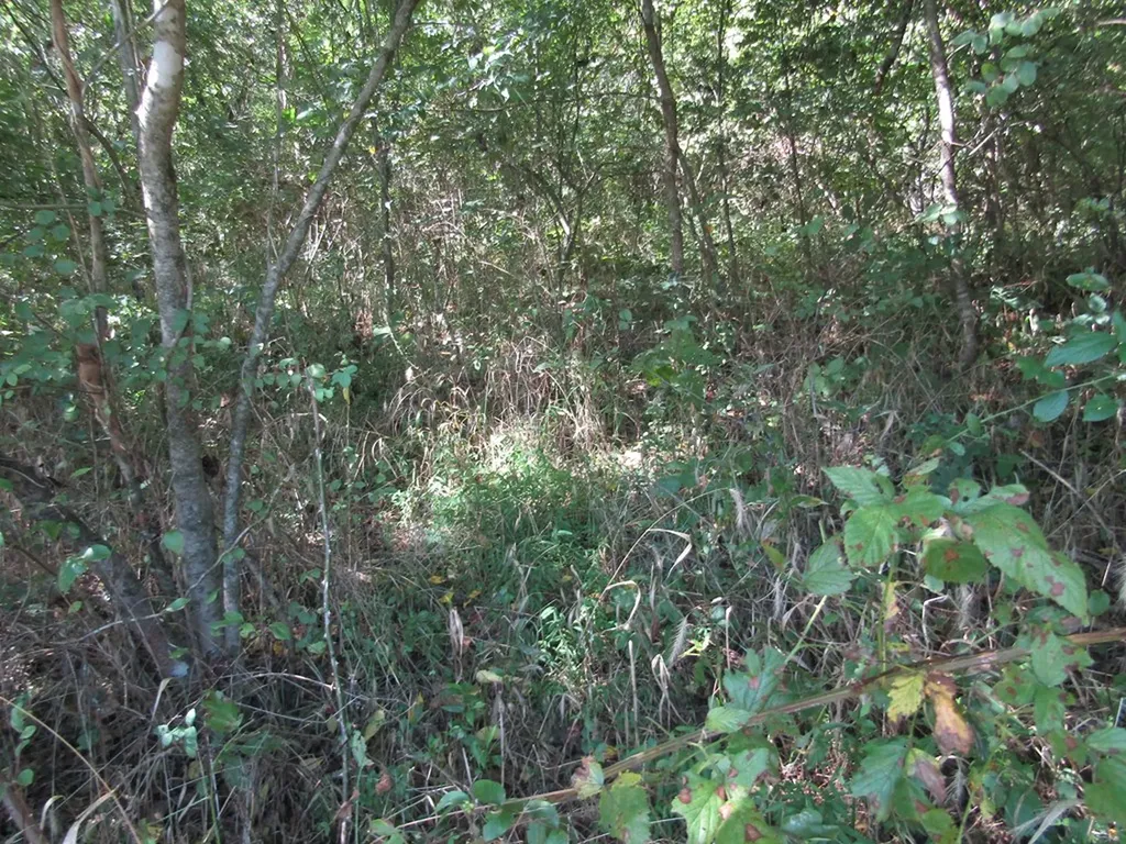 14AC Hartsville Road Lafayette TN 37083