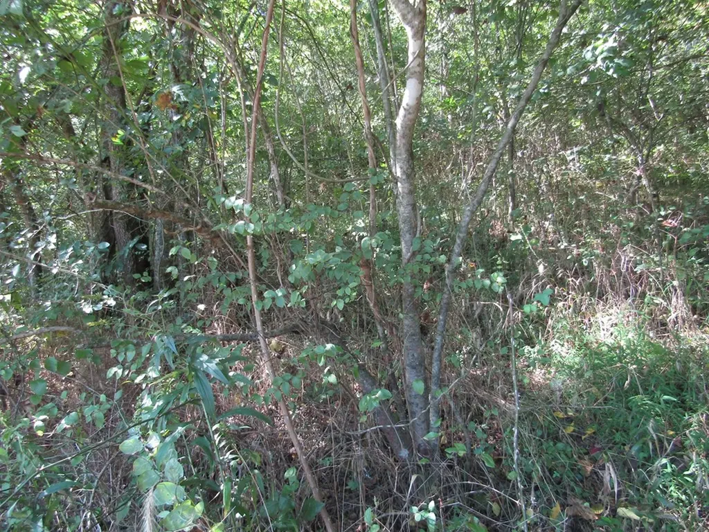 14AC Hartsville Road Lafayette TN 37083