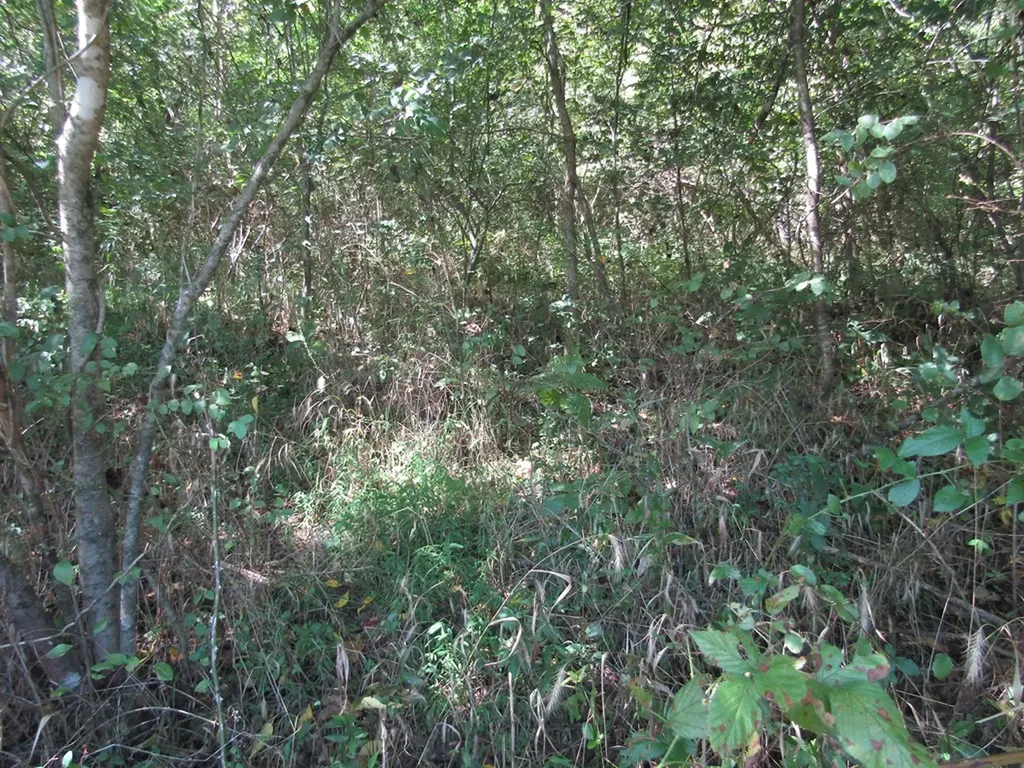 14AC Hartsville Road Lafayette TN 37083