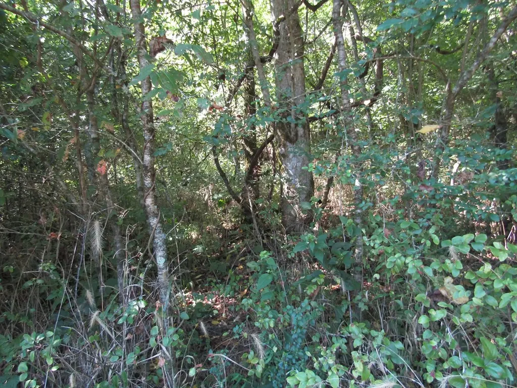 14AC Hartsville Road Lafayette TN 37083