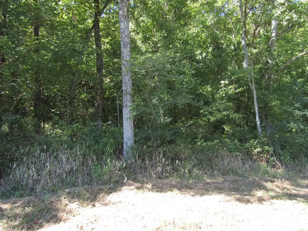 14AC Hartsville Road Lafayette TN 37083