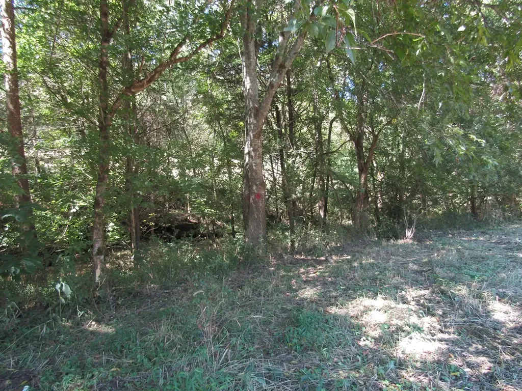 14AC Hartsville Road Lafayette TN 37083