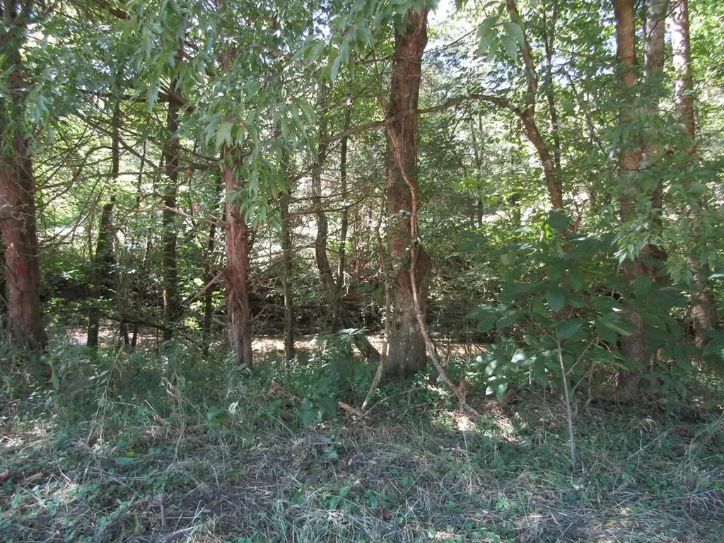 14AC Hartsville Road Lafayette TN 37083