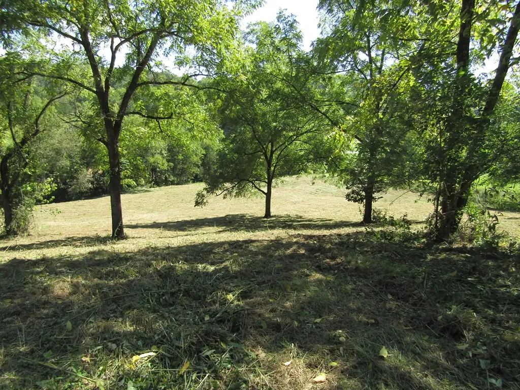 14AC Hartsville Road Lafayette TN 37083