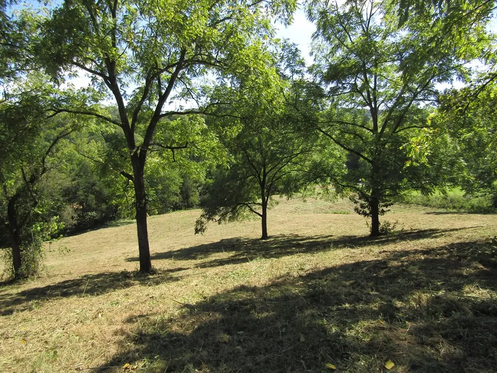 14AC Hartsville Road Lafayette TN 37083