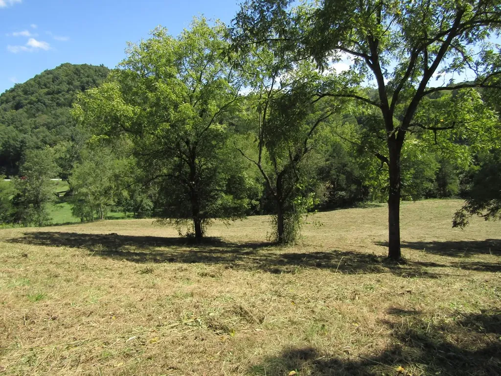 14AC Hartsville Road Lafayette TN 37083