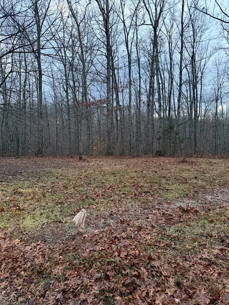 00 Viola Drive Sparta TN 38583