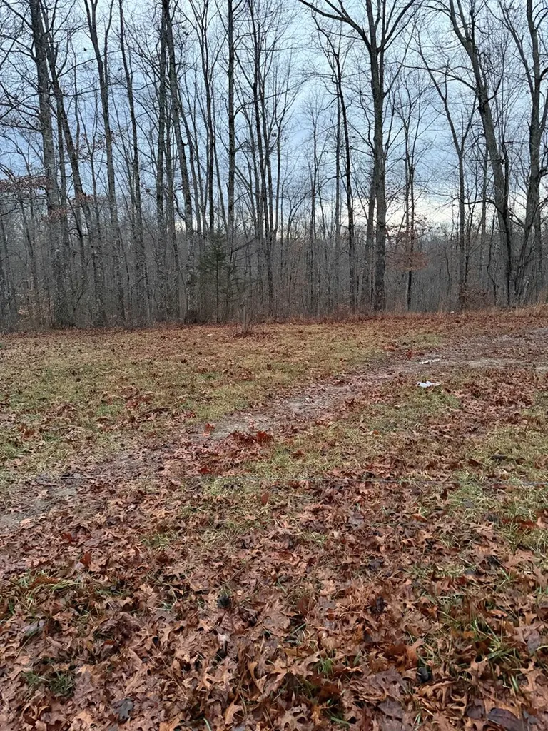 00 Viola Drive Sparta TN 38583