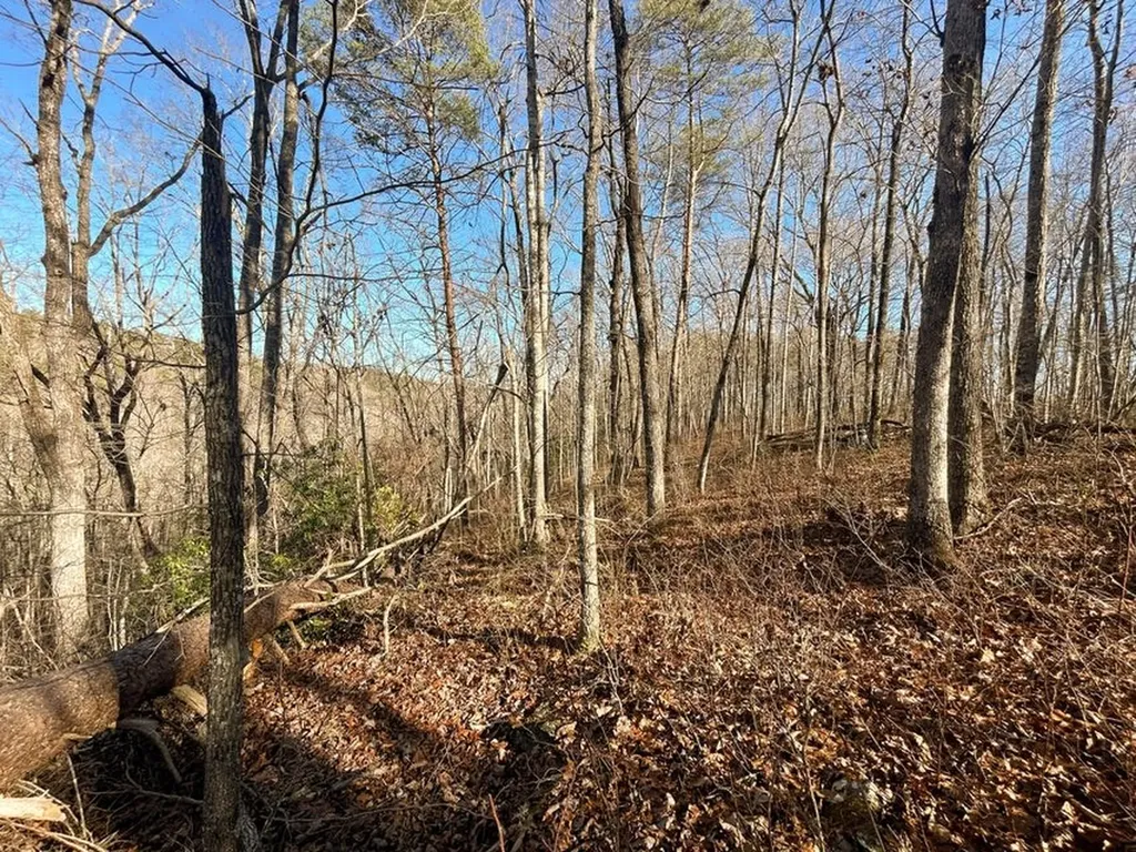 0 Deerhead Road 5 Dunlap TN 37327