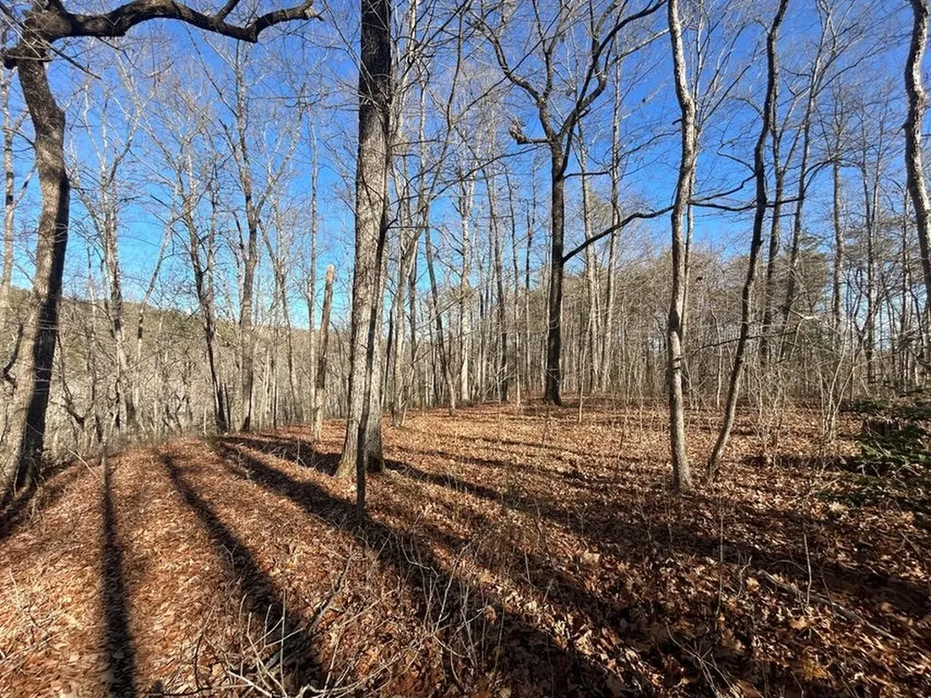 0 Deerhead Road 5 Dunlap TN 37327
