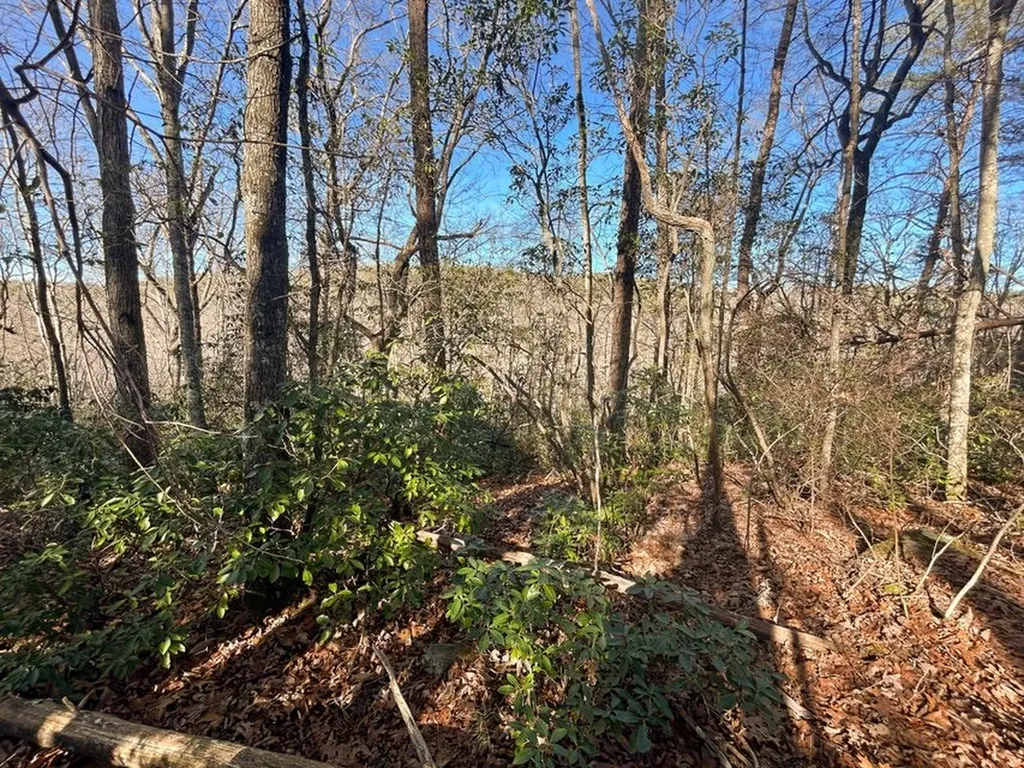 0 Deerhead Road 5 Dunlap TN 37327