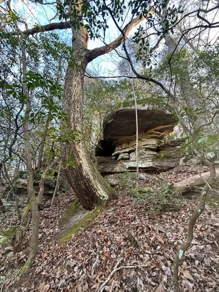 0 Deerhead Road 5 Dunlap TN 37327