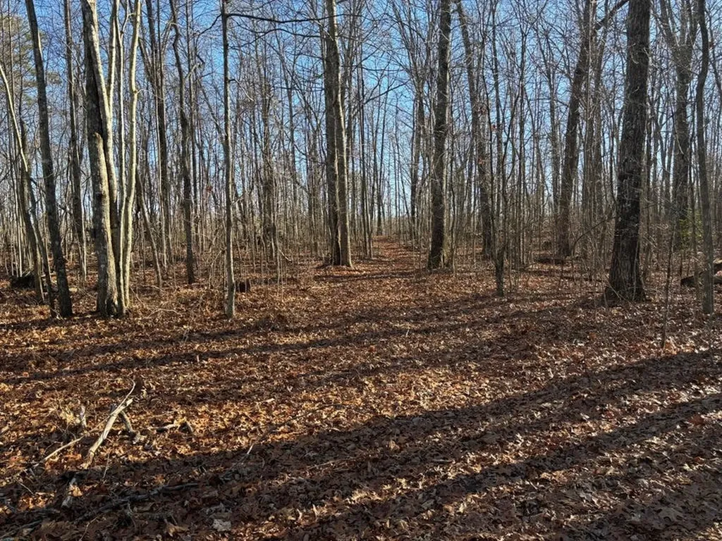 0 Deerhead Road 5 Dunlap TN 37327