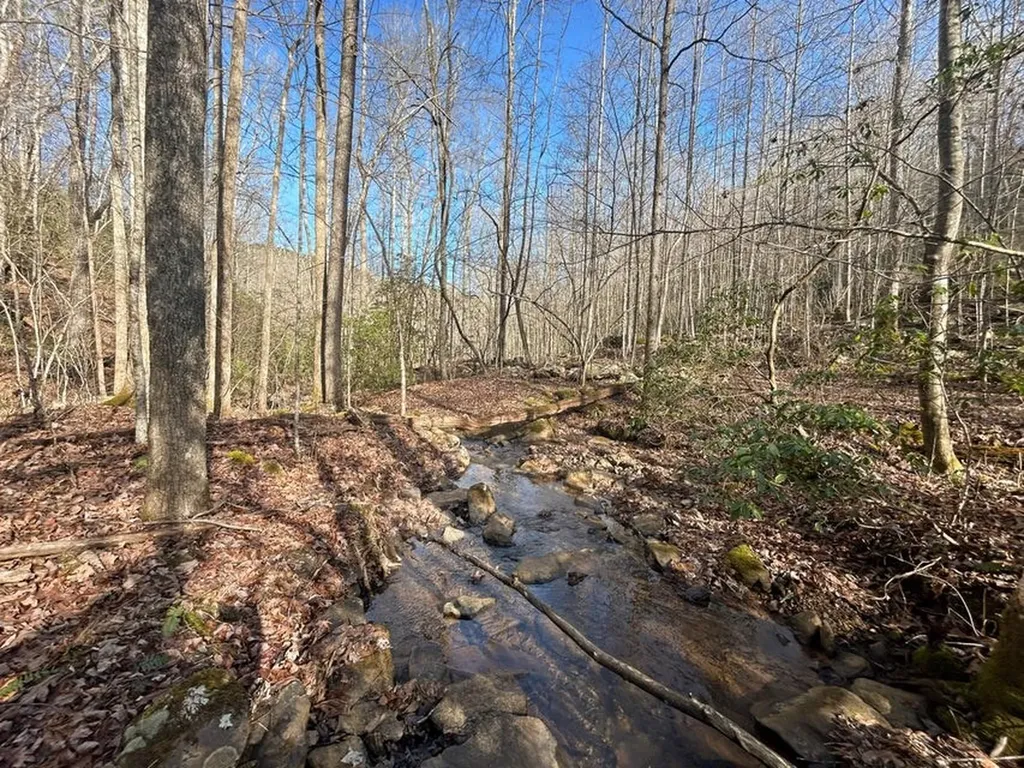 0 Deerhead Road 5 Dunlap TN 37327