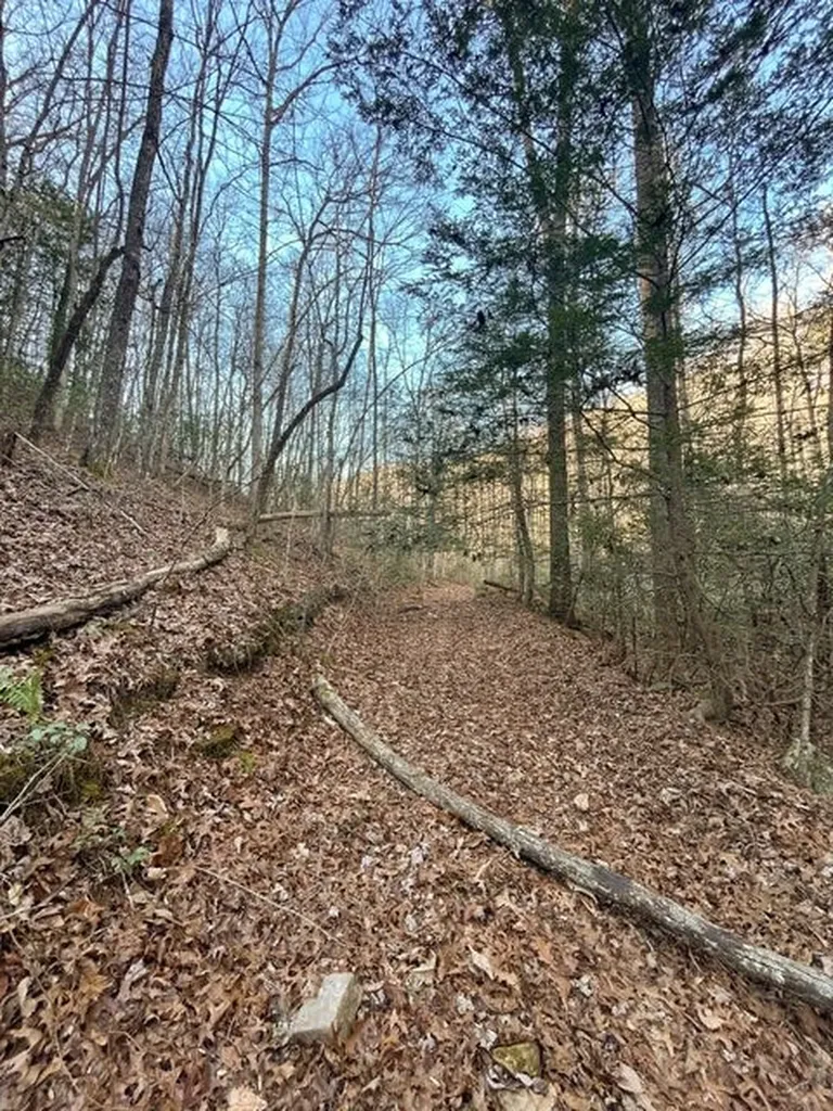 0 Deerhead Road 5 Dunlap TN 37327