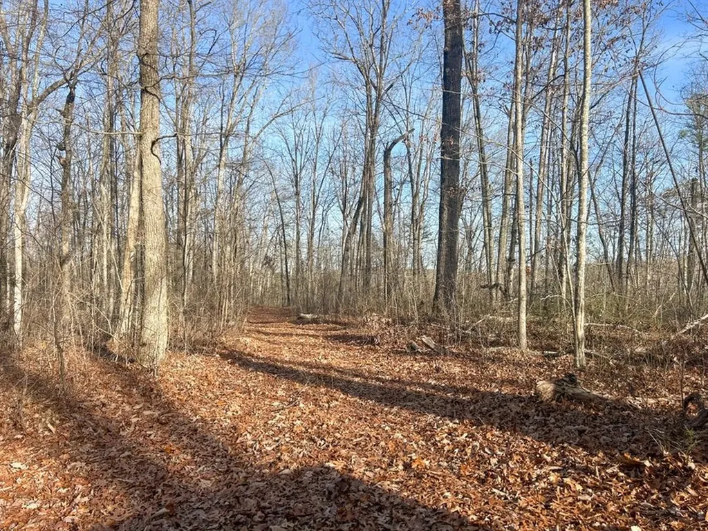 0 Deerhead Road 5 Dunlap TN 37327