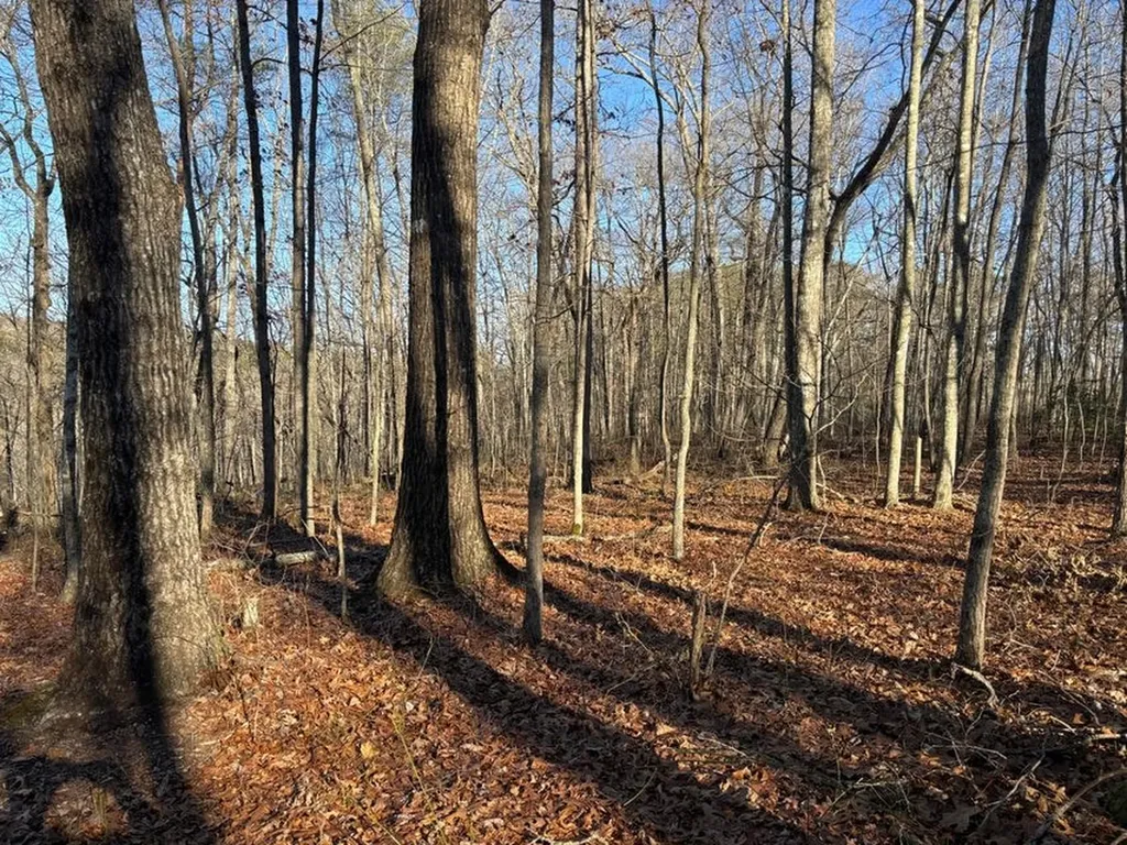 0 Deerhead Road 5 Dunlap TN 37327