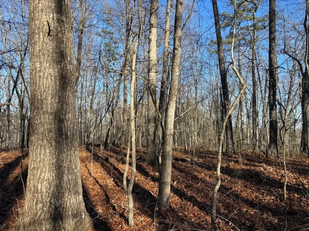 0 Deerhead Road 5 Dunlap TN 37327