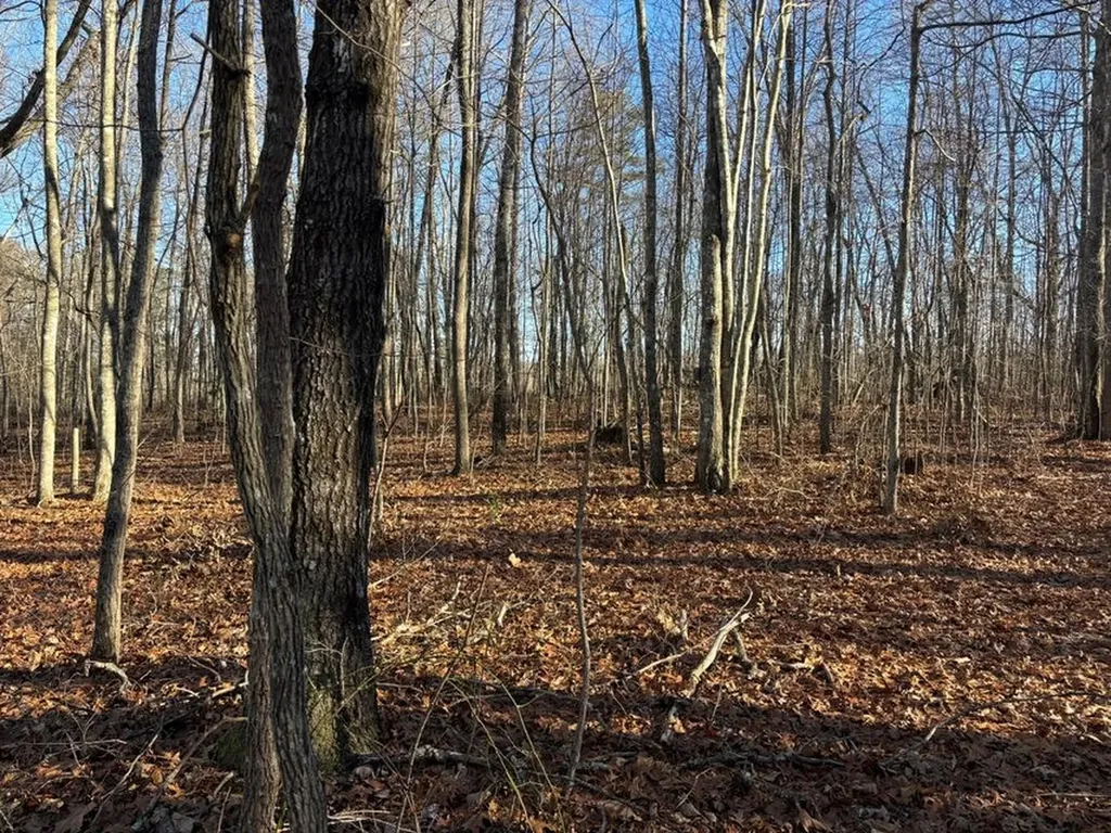 0 Deerhead Road 5 Dunlap TN 37327
