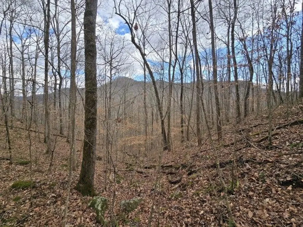 1029 E Obey Wilder TN 38589