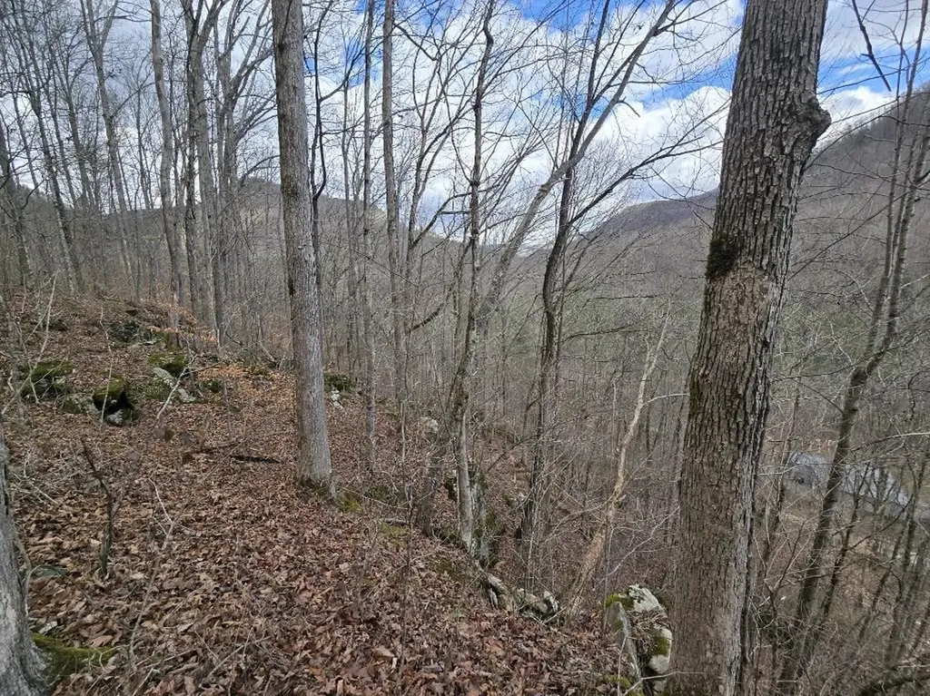 1029 E Obey Wilder TN 38589