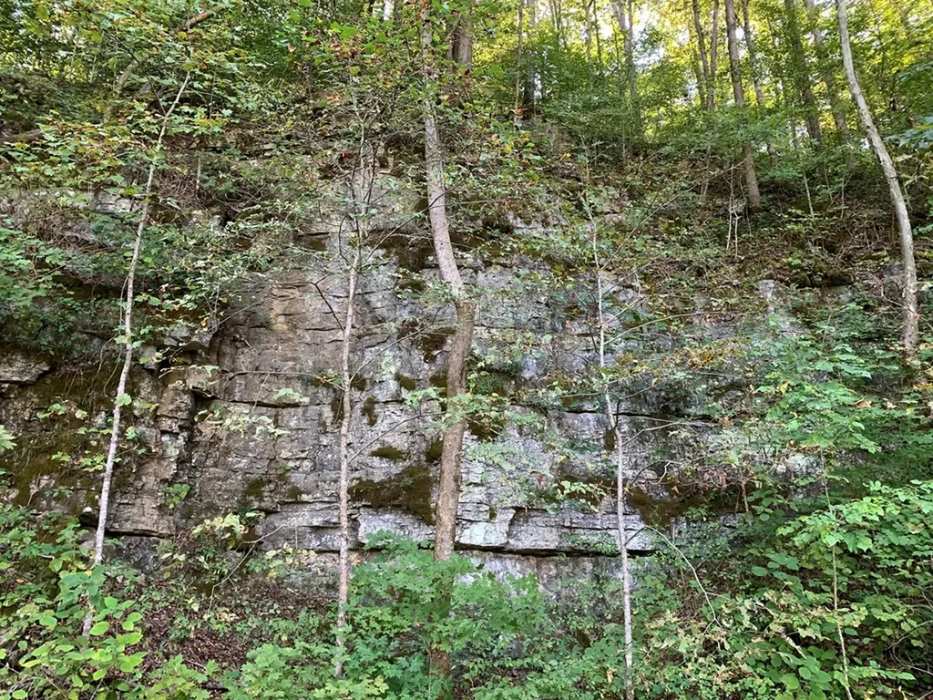 1029 E Obey Wilder TN 38589