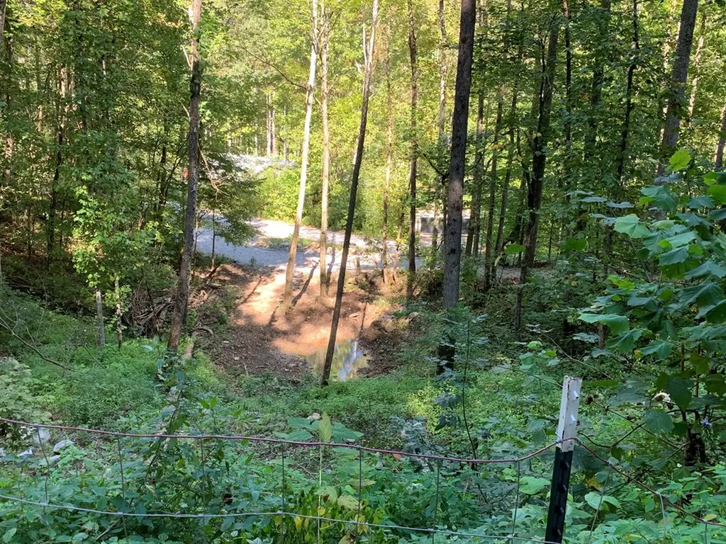 1029 E Obey Wilder TN 38589
