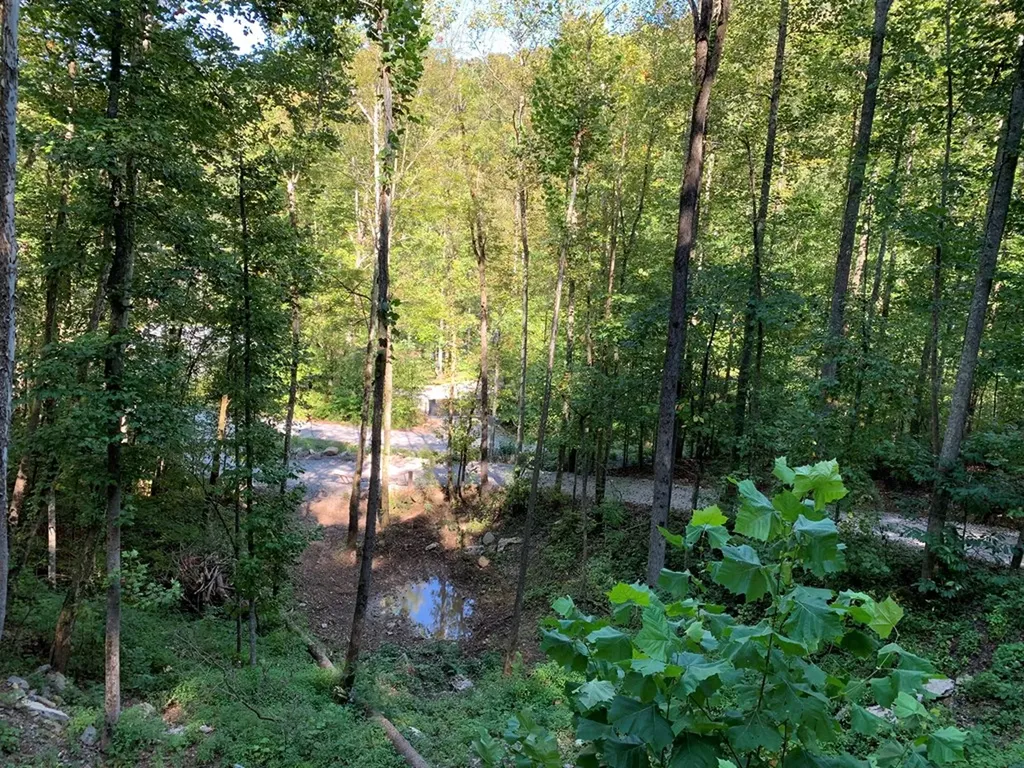 1029 E Obey Wilder TN 38589