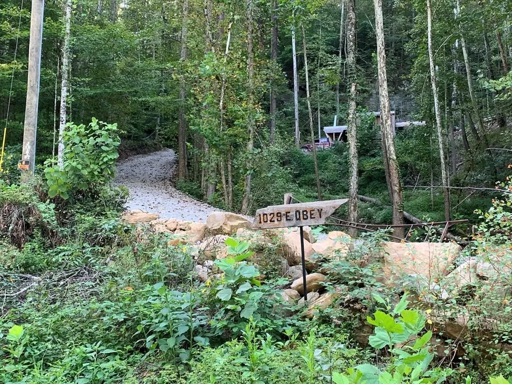 1029 E Obey Wilder TN 38589