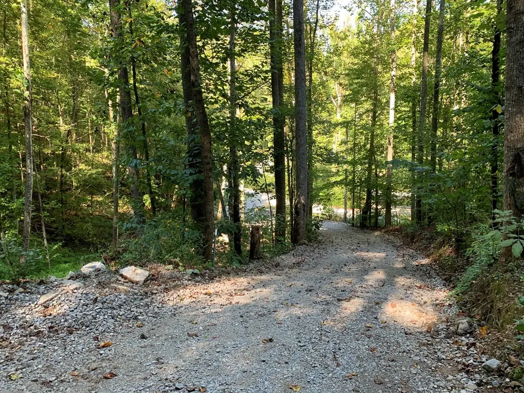 1029 E Obey Wilder TN 38589