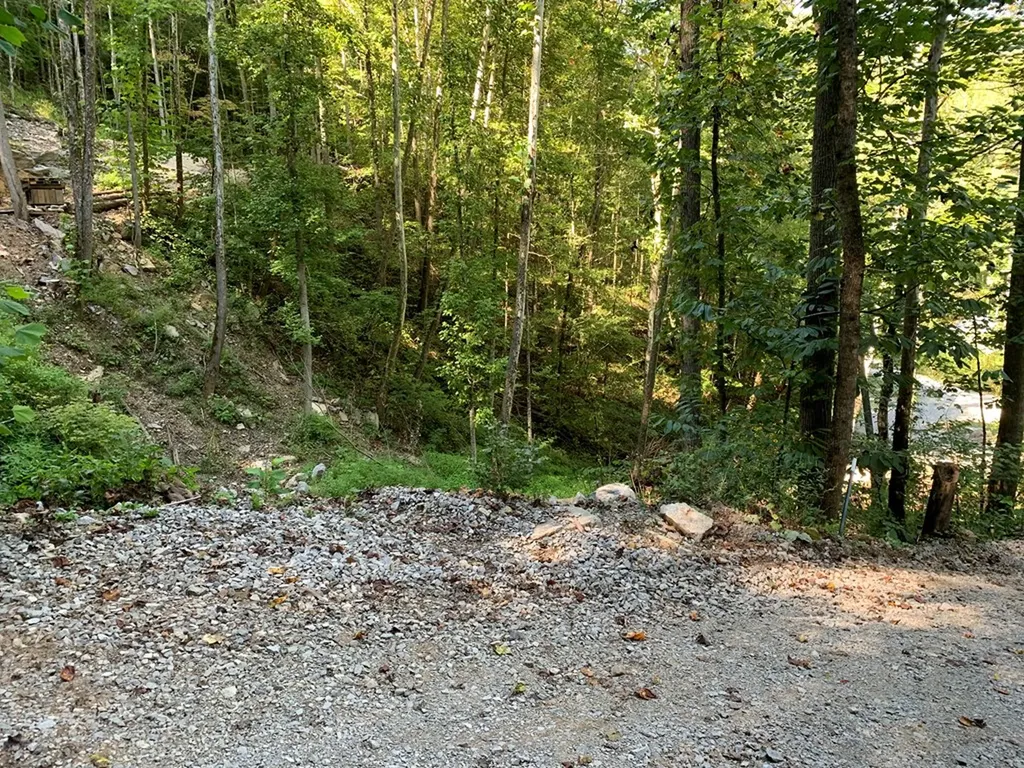 1029 E Obey Wilder TN 38589