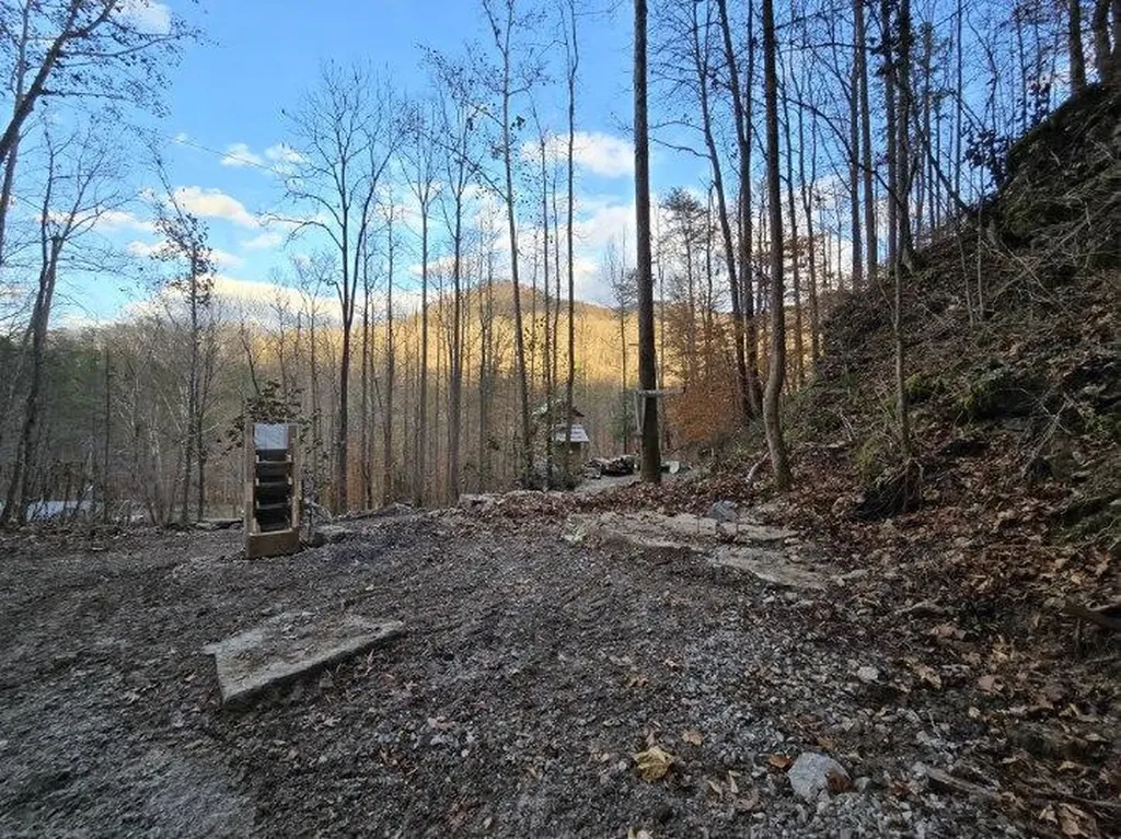 1029 E Obey Wilder TN 38589