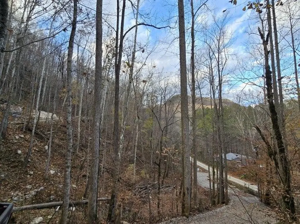 1029 E Obey Wilder TN 38589