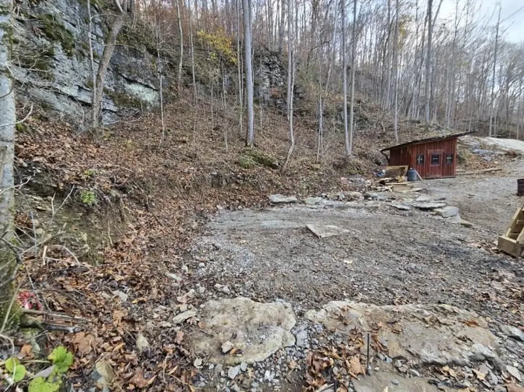 1029 E Obey Wilder TN 38589