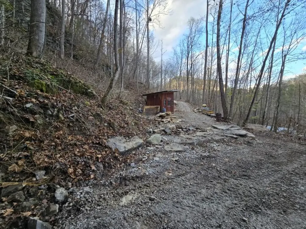1029 E Obey Wilder TN 38589