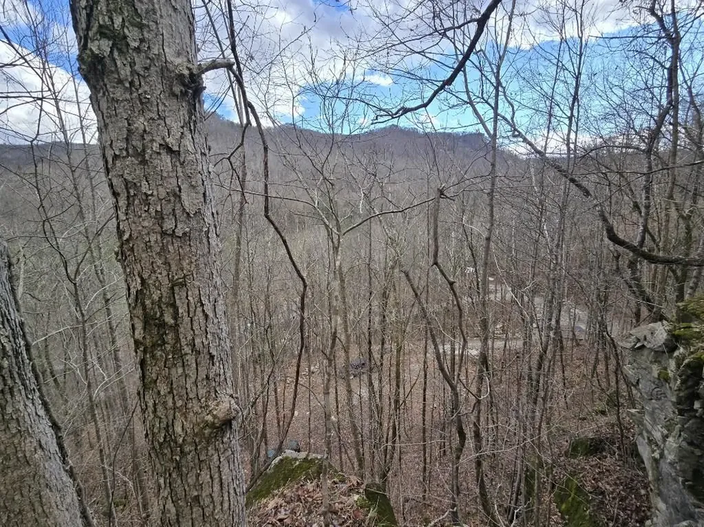1029 E Obey Wilder TN 38589