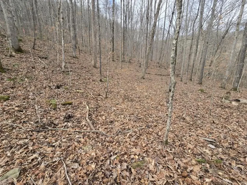 1029 E Obey Wilder TN 38589
