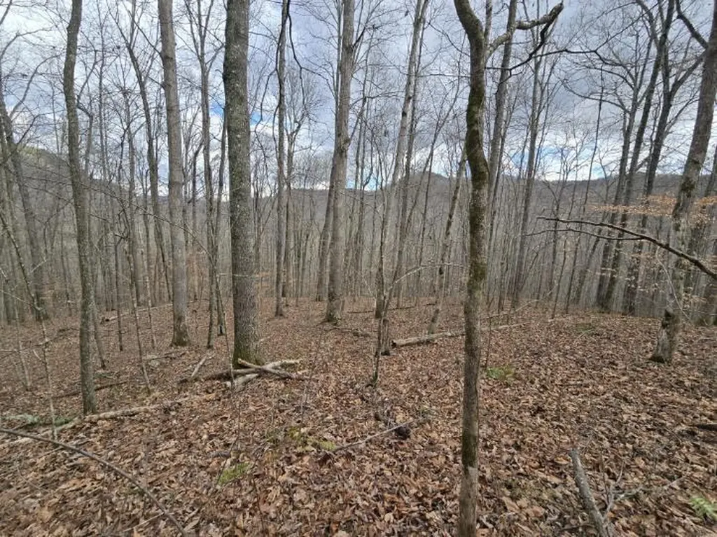 1029 E Obey Wilder TN 38589