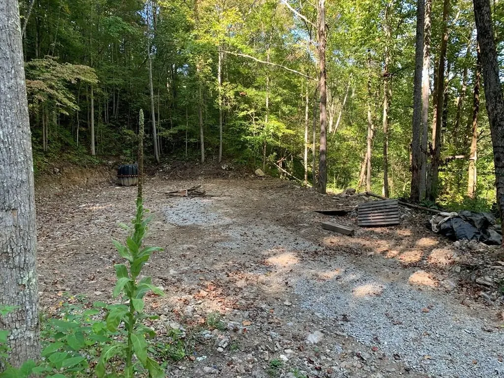 1029 E Obey Wilder TN 38589