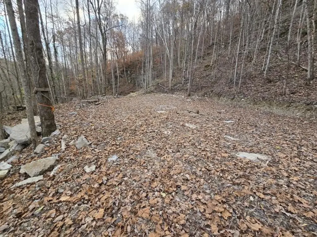 1029 E Obey Wilder TN 38589