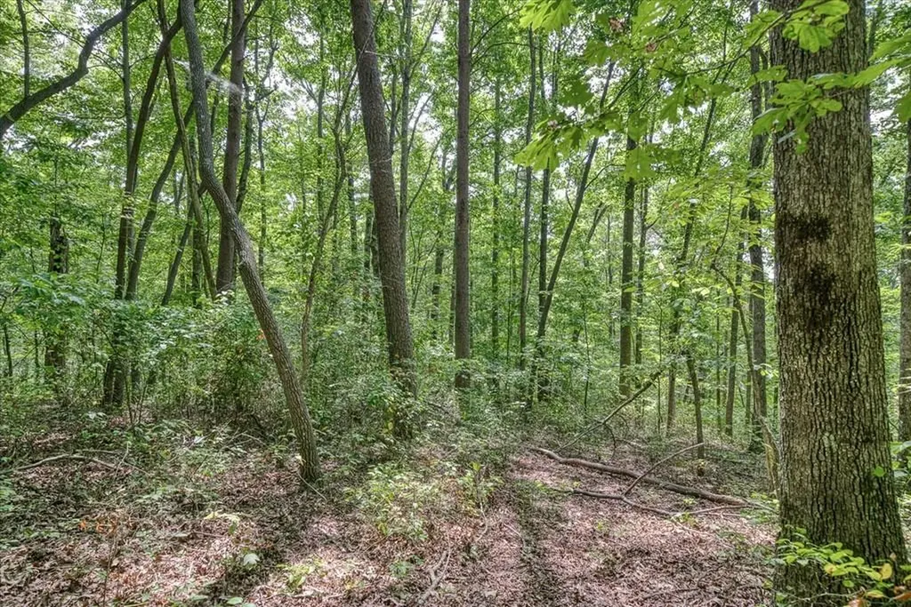 0 Creek Drive Lot 23 Monterey TN 38574