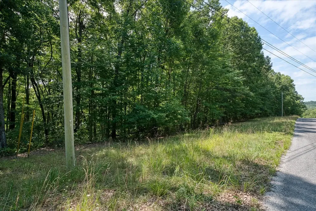0 Creek Drive Lot 23 Monterey TN 38574