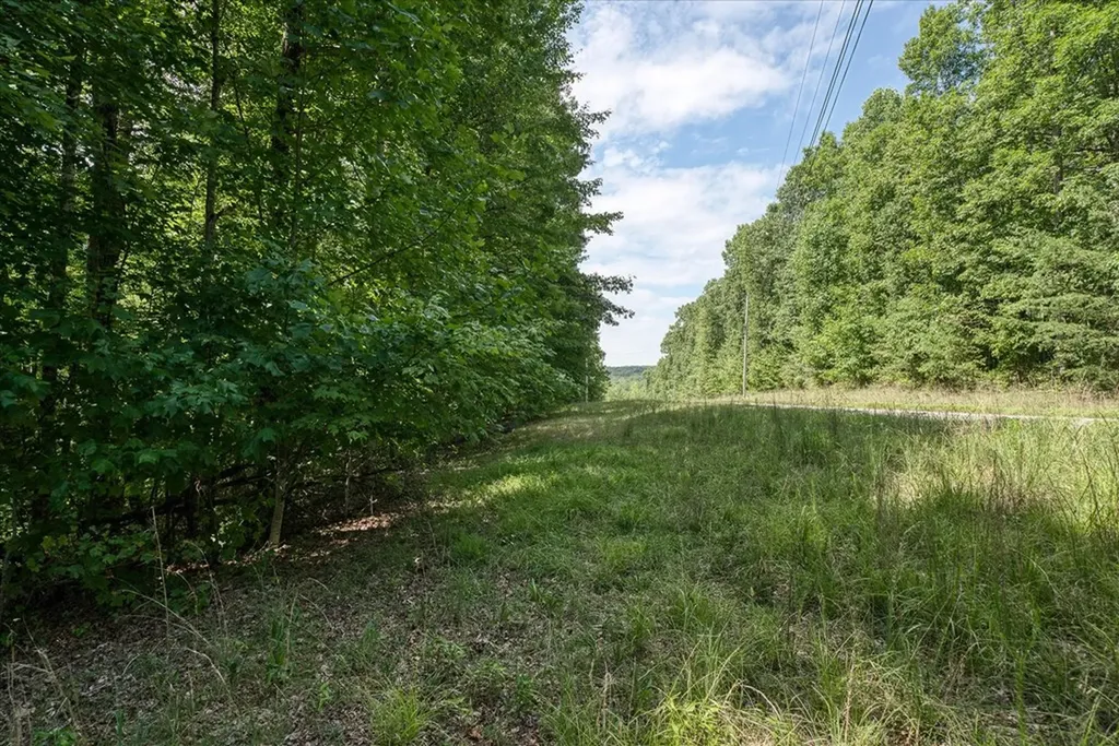 0 Creek Drive Lot 23 Monterey TN 38574
